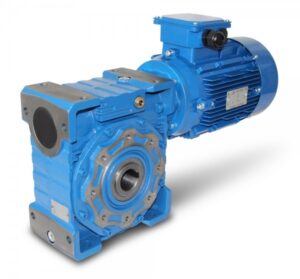 Worm Gear Motor