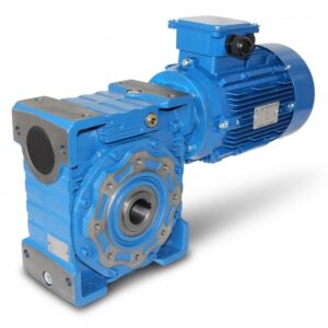 Worm Gear Motor